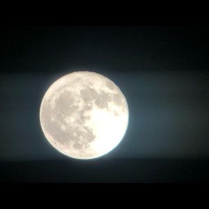 Meet your Posher, Tara